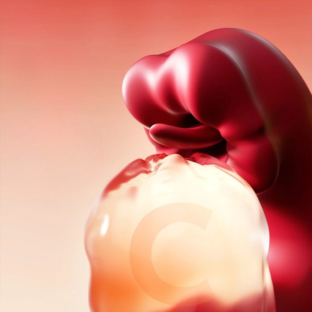 Langue Vibrante réaliste Connecté 2 en 1 Persis