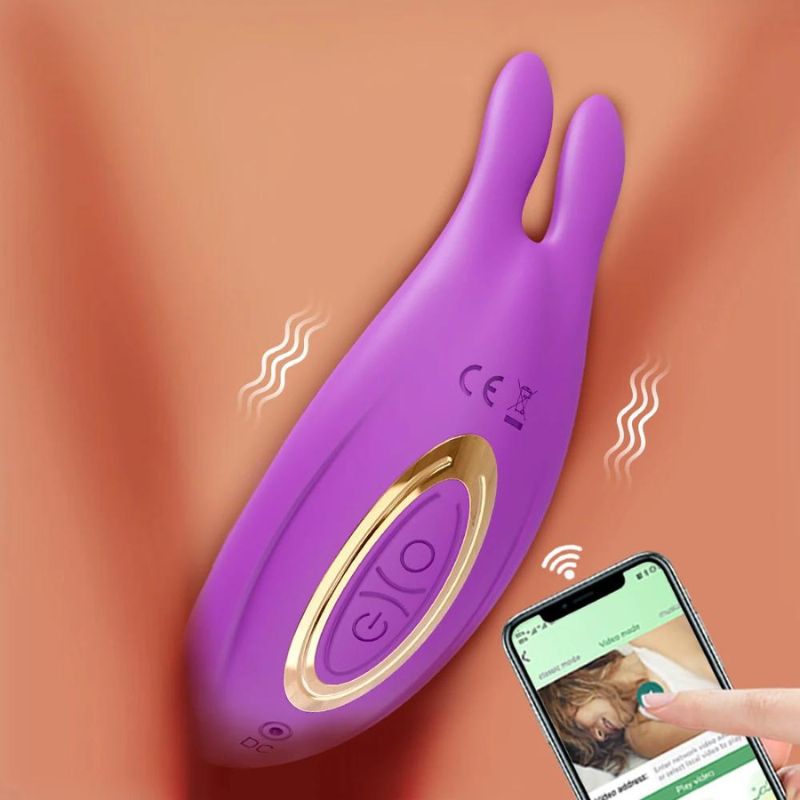 __switch:Violet Vibromasseur Rabbit Va et Vient pour Femme